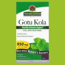 네이쳐스앤서 고투콜라 475mg 베지캡슐 90정