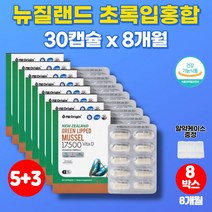 코스트코 초록입 그린 홍합 오일 초롱잎 초롱이 푸른 홍합 추출물 GREENLIPPED 운동 뼈 고관절 무릎 30대 40대 50대 60대 70대 노인 남성 남자 영양제, 8박스