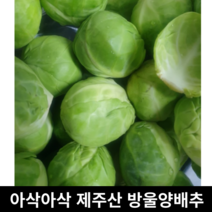 [국산/국내산] 생 미니양배추 방울양배추 1kg 2kg 깔끔하게 손질된 가니쉬 샐러드 스프 배추 미니 방울 꼬마양배추 브리쉘스프라우트 브리쉘 스프라우트 한입양배추 한입
