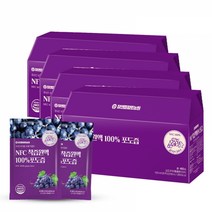 참앤들황토농원 NFC 착즙원액 100% 포도즙 100ml x4박스, 단품, 단품