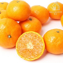 [웰굿] 당도선별 제주 카라향 2.5kg(15-22과 중과 15brix이상), 단품