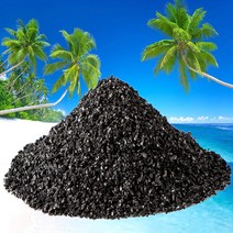 에코라이프 ECO 야자 활성탄 실내 탈취제, 1개, 2kg