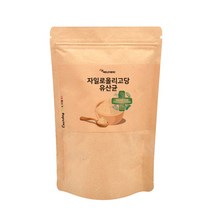 신제품 맛있는 요구르트맛 식물 모유 유래 유산균 분말 핵심 복합 균주 액션 신바이오틱스 포스트바이오틱스 프리바이오틱스 fos 프로바이오틱스 프로바이오 자일로올리고당 프락토올리고당 가루 장내 환경 개선 유익균 비피더스균 증식 특집, 1봉, 150g