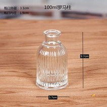 테라리움 비바리움 팔루다리움 키트 어항 북유럽 스타일 크리에이티브 유리 꽃병 테라리움 장식 홈데코 소, 01 100ml Roman column