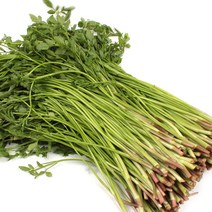 한재미나리 1kg (봉) / 청도 산지직송 무농약