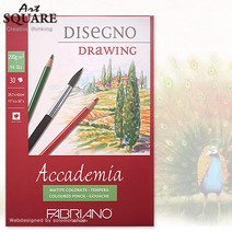 A3파브리아노 아카데미아스케치북AC06/200g/30매/297x420mm 드로잉패드형/A4스케치북/드로잉지/크로키북/도화지/수채화용스케치북/수채화용지, AC06 (1권)