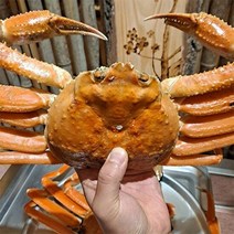 [자연맛남] 산지직송 영덕 준박달대게 3마리(소/9.3cm~9.5cm), 단품