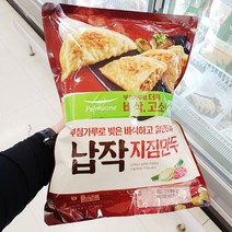 풀무원 납작 지짐만두 490gx2입, 종이박스 아이스팩, 2개, 490g
