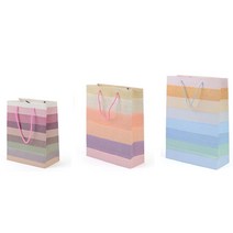 전시장 박람회 판촉물 홍보물 종이가방 쇼핑백 5P 야외 세미나 선물 결혼식 답례품, 대