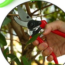 강력한 조경용 전지가위 원예 접목 가지치기 과수원 미끄럼방지 안전고리, 1개