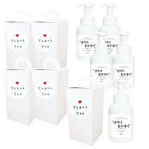 룰루데이 핸드워시 손잡이상자 완포장 5개 묶음 답례품, 300ml