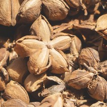 프랑스와즈 유기농 사카잉키 오일, 100ml