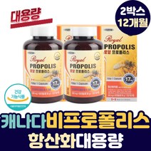 대용량 캐나다산 프로폴리스 추출 분말 플라보노이드 항산화제 어린이 수험생 청소년 전연령 프리미엄 프로플리스 폴리폴리스 프로폴리 고함량 BEE PROPOLIS 데일리 건강 보조제
