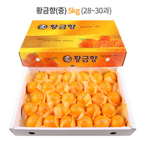 제주 황금향 선물세트 5kg (중과) 28-30과 / 하우스 노지 고당도 귤 감귤 밀감 레드향 천혜향 카라향 청귤 수라향 신비향 가정용 추석 명절 설 감사 은사 선물 조생 타이벡, 5kg (왕특대) 12-18과
