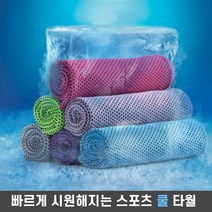 스포츠타올 건식 습식 쿨타올 수영장 헬스 수건, 블루