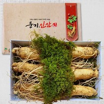 [풍기인삼] 6년근 풍기수삼(왕대) 750g(5~6뿌리), 1박스, 원수삼(왕대) 750g(5~6뿌리)