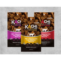 길냥이 고양이 스낵 오리스 카츠 덴탈케어 50g, 2개, 연어맛(구강관리&스킨케어)