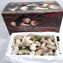 국내산 송이송향버섯(송화버섯 송고버섯) 오전11시전주문시 내일도착(주말 및 공휴일 제외), 선물용(일품)1kg