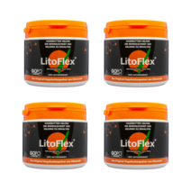 라이토플렉스 로즈힙 파우더형 300g 덴마크산 4통 Litoflex Rose Hip