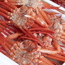 [후레쉬] 동해안 홍게 3kg / 10~12미 / 산지직송, 단품