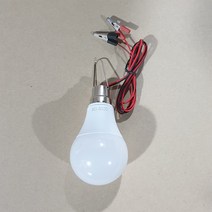 세이브솔라 12V 12W LED 고리전등 소켓없이 전선 + 고리 부착 야외 캠핑 낚시용 배터리 사용 전등, 백색, 1