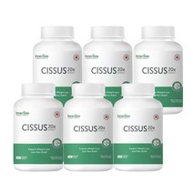 이너타임 캐나다 시서스 가루 20배 고농축 120캡슐, 6병