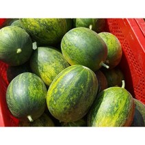 경북 파파야 메론 개구리 참외 양구메론 5kg 10kg, 파파야메론 9kg (17~30과)
