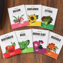 꿈쟁이 1종 씨앗봉투 방울토마토 바질 외 4종 상추, 1개