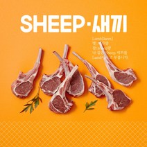 (당일발송) 6개월미만 프렌치랙 -어린양 양갈비 SHEEP새끼 (소스4종무료)양고기스테이크 쉽새끼 양갈비 2인기준 숄더랙 캠핑양갈비 2인기준