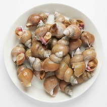 삼삼해물 산지직송 생골뱅이 백골뱅이 제철 백고동 1kg, 생물 백고동(중) 1kg, 1개