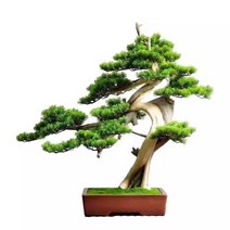 분재 화분 집들이 개업 오픈 선물 인조 나무 장식품, A