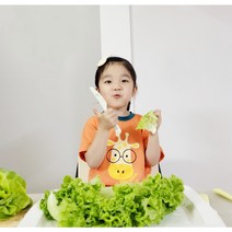 [샐러드팩토리] 친환경 산지직송 카이피라 버터헤드 모듬 쌈채소 샐러드 1kg, 1개