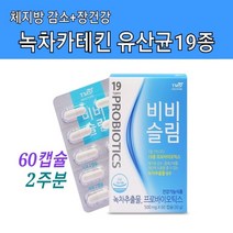 녹차추출물 카테킨 300mg 녹차카테킨 신바이오틱스 유산균 비타민D 아연 가루 캡슐 건강기능식품 체지방감소제 항산화 면역 배변활동 체중 체지방 감소 보조제 효능 2주간 단기간 슬림, 2주단기간분량
