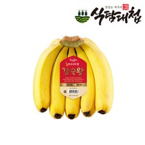 식탐대첩 스미후루 감숙왕 바나나 1송이 약1.3kg내외, 단품