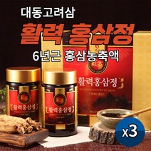 대동고려삼 6년근 활력 홍삼정 엑기스 진한 홍삼농축액 홍삼벌꿀 홍삼분말 함유 홍삼진액 대동홍삼정 대용량 500g, 250g X 2병 3세트