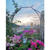 정원 아치 덩굴 덩쿨 장미 가든 로즈 대문 철제 식물 지지대, 블랙 너비120