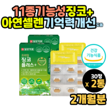 뇌에좋은음식 은행잎 추출물 징코빌로바 징코 비타민b 영양제 먹는법 청소년영양제 수능영양제 공시생선물 수험생선물