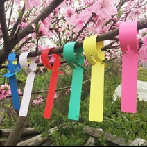 식물 수목 이름표 라벨 묘목 과수원 KK292, 화이트