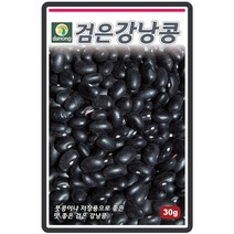 약검은강낭콩씨앗(왜성) 30g 텃밭작물 가정원예 식물기르기 주말농장 콩곡물종자