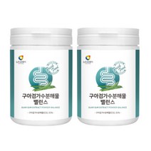 구아검 가수분해물 분말 120g2통 돼지감자 식이섬유질 천연프리바이오틱스 만노스 중년 노년 장내