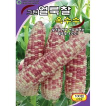 (씨앗) 얼룩찰옥수수 - 자루가 크고 맛이 좋은 얼룩 찰옥수수 씨앗 종자 - 소포장 - 100립