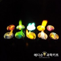 원소불꽃반응(시료10종)(6인용)-DES