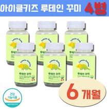 아이클키즈 루테인 꾸미 하루 두번 2.5g X 90꾸미, 4개