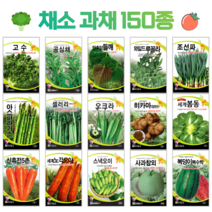 쌈 채소 씨앗 모음 고수 공심채 루꼴라 궁채나물 수박 참외 호박 토마토 상추씨 동남아 종자, 118. 흑피애플수박 5립