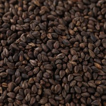 국산 흑메밀볶음차 600g 볶은 메밀 흑메밀 차, 1IHM_흑메밀볶음차 600g