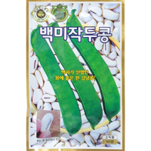 강낭콩 백미 작두콩 동부콩 완두콩 얼룩 호랑이 적색 흑색 녹두 백태 텃밭 씨앗 종자