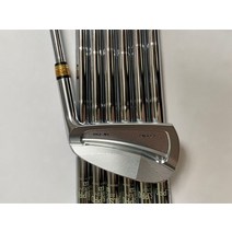 골프 클럽 조디아 SV-C101 아이언 헤드 커버 4-9P R/S/SR 흑연/스틸 샤프트, 09 NS PRO MODUS 3 105