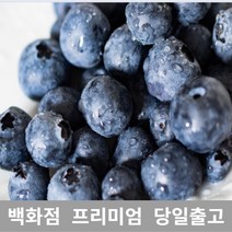 [특등급선별] 블루베리 300g 과일 제철과일 크랜베리 블루베리효능 냉동블루베리 블루베리잼 건크랜베리 블루베리스무디 블루베리주스 블루베리콩포트 생블루베리 블루베리즙