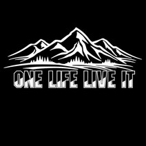 캠핑카악세서리 캠핑카용품 15.9 라지 원 라이프 라이브 잇 비닐 스티커 캠퍼 밴 캠핑카 데칼 마운틴용 15.9, 은