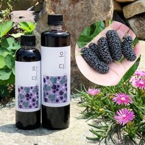 농부프린스 오디청 오디원액 오디즙 오디효소 500ml 갱년기 엄마 아빠 부모님 청소년 어린이 간 피로 회복 면연력 수면 영양제 생일 선물, JNC 1, JNC 500ml, JNC 본상품선택